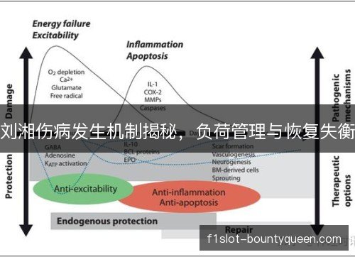 刘湘伤病发生机制揭秘,负荷管理与恢复失衡 刘湘伤病发生机制揭秘,负荷管理与恢复失衡
